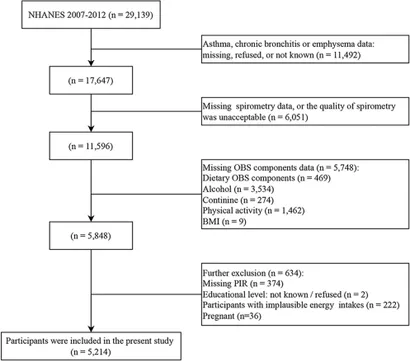 Frontiers | Association of oxidative balance score and lung health