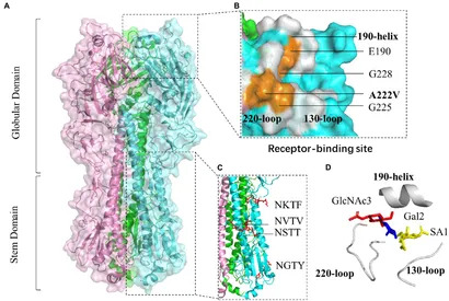 Frontiers | Genetic characterization and evolution of H6N6 Frontiers | Genetic characterization and evolution of H6N6