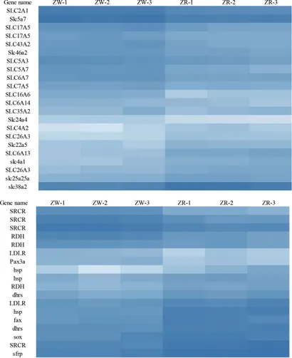 ZEAL ABカラー18個セット ZEAL ABカラー18個セット