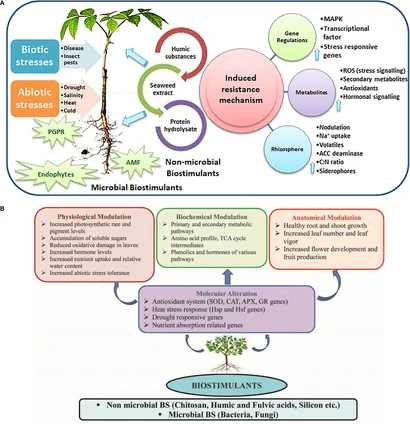 Frontiers | Role of biostimulants in mitigating the effects