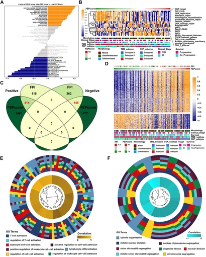 Frontiers | Ferroptosis regulators related scoring system by