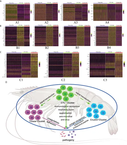 Frontiers | Single-cell RNA-seq uncovered hemocyte