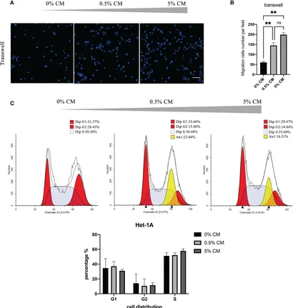 プロテイン NIR-responsive bio-system with sequential antibacterial and