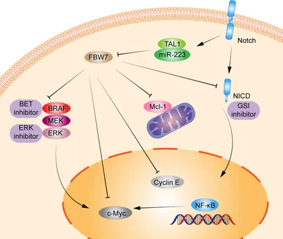 【年中無休】 fonc-12-988138-g001.jpg 健康・医学