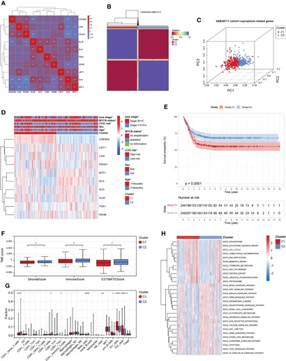 Frontiers | A novel cuproptosis-related subtypes and gene