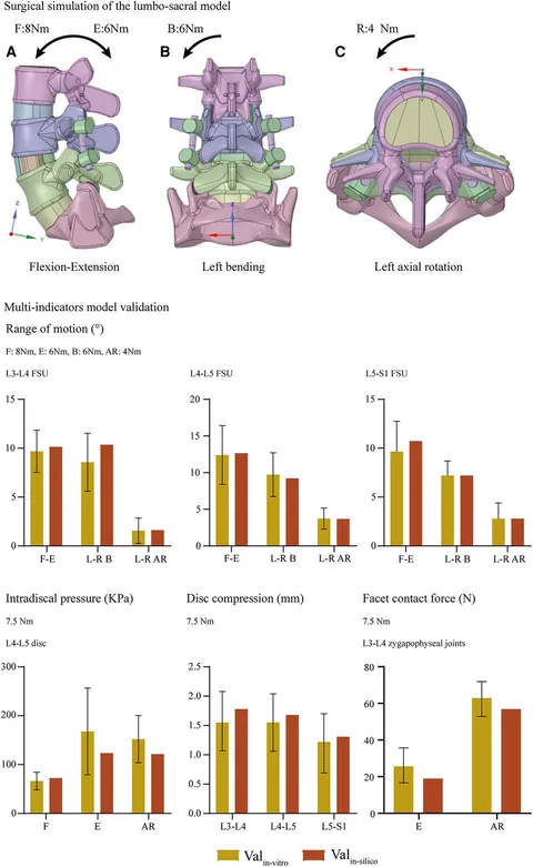 Frontiers | Will the adjustment of insertional pedicle screw