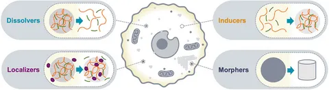 その他 And Y 51GN4yDJ-LL._UF350,350_QL50_.jpg