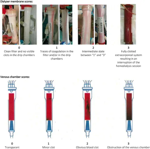 Frontiers | Risk for excessive anticoagulation during Frontiers | Risk for excessive anticoagulation during