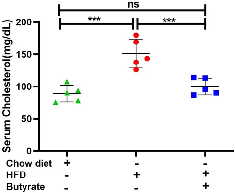 Frontiers | AUF-1 knockdown in mice undermines gut microbial
