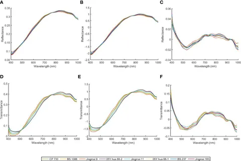 Frontiers | Detection of seed purity of hybrid wheat using Frontiers | Detection of seed purity of hybrid wheat using