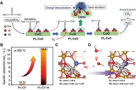 Frontiers | Recent progresses on single-atom catalysts for