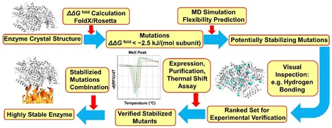 aminaseページ The Enantioselective Synthesis of α-Amino Acids by Phase