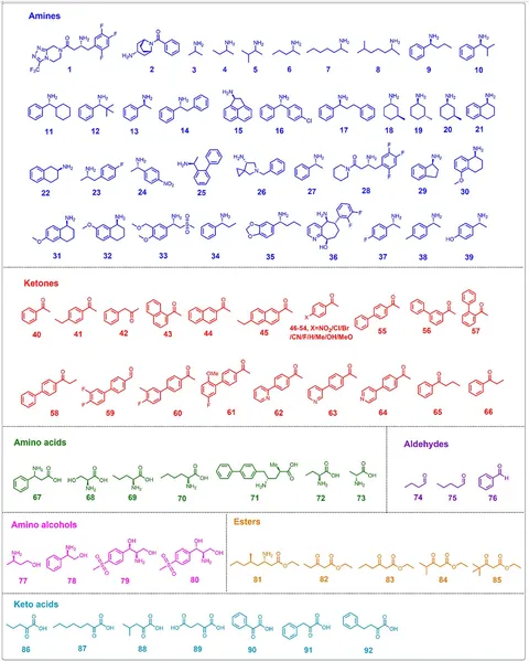 aminaseページ Structural basis of sequence-specific cytosine deamination
