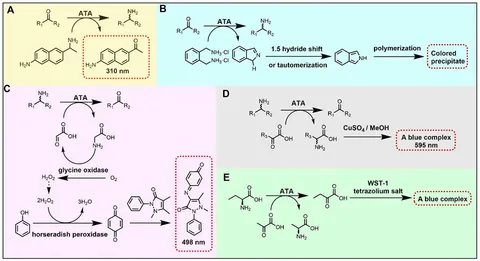aminaseページ Structural basis of sequence-specific cytosine deamination