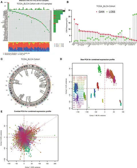 LINCS Dataset-Based Repositioning of Dutasteride as an Anti