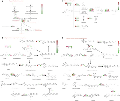 Frontiers | Integrated transcriptomic and metabolomic
