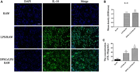 ブランド雑貨総合 | Frontiers Application combined thermosensitive-hydrogel of パーツ