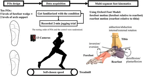 Running: Biomechanics and Exercise Physiology in Practice