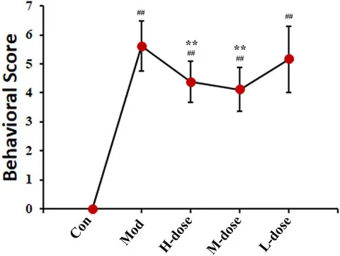 その他 Thus Anterior Cingulate Cortex–Anterior Insular Cortex Circuit