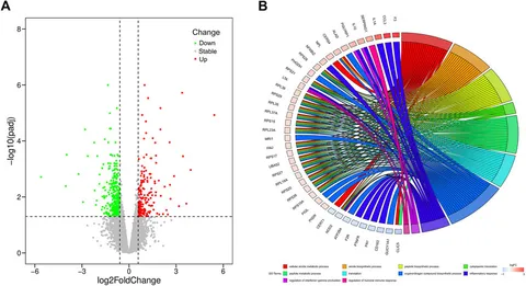 Frontiers | Blood transcriptome reveals immune and metabolic