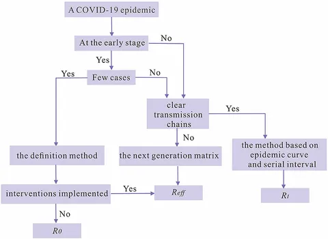 Epidemic theory: Studying the effective and basic