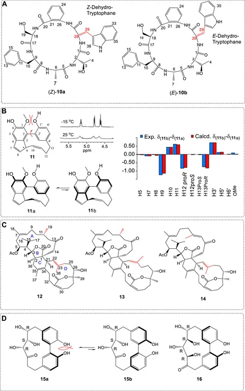 Frontiers | Computational methods and points for attention