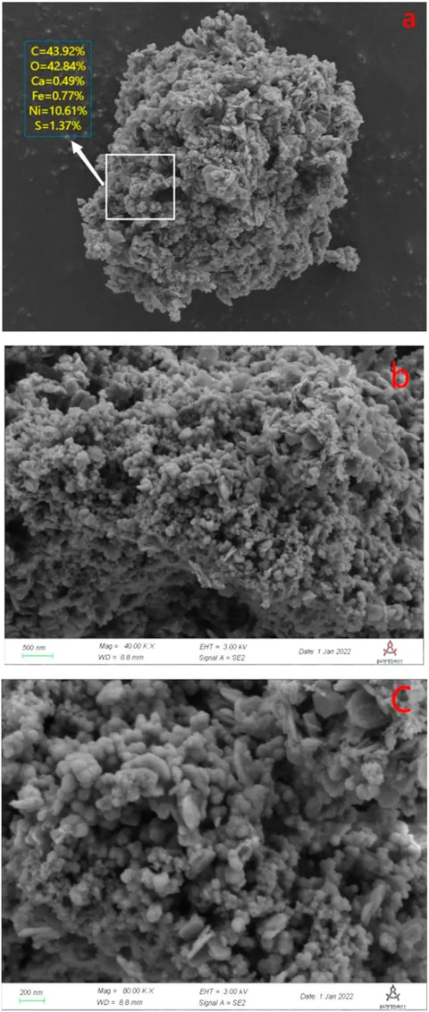 fchem-10-1089690-g011.jpg
