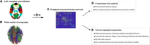 Statistical Analysis of Diffusion Tensor Imaging Diwei Zhou