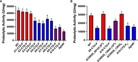 Investigation on Electron Distribution and Synergetic to