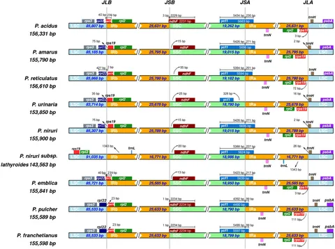 Frontiers | Application of chloroplast genome in the