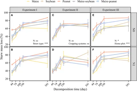 Frontiers | Maize/peanut intercropping has greater
