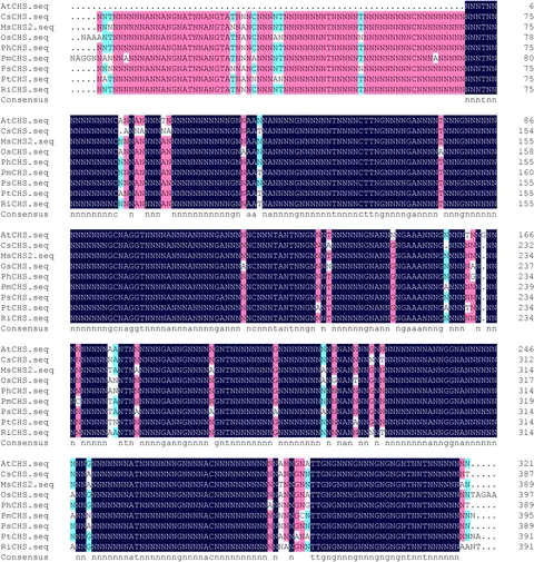 Frontiers | Cloning of a CHS gene of Poncirus trifoliata and