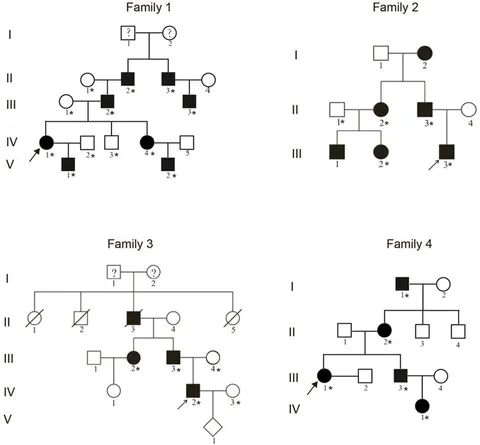 fgene-14-1105046-g001.jpg