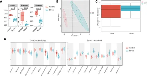 Frontiers | Chronic stress boosts systemic inflammation and