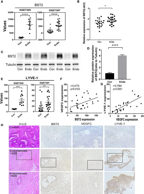 A chromosome-coupled ubiquitin-proteasome pathway is
