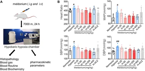 Frontiers | Insights into the pharmacodynamics and Frontiers | Insights into the pharmacodynamics and