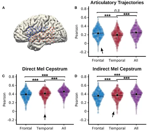 Frontiers | Overt speech decoding from cortical activity: a