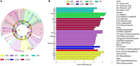 Whole genome sequencing exploitation analysis of dibutyl