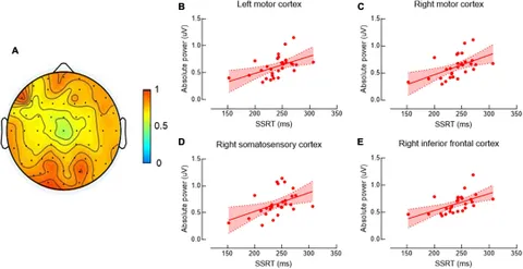 Frontiers | Individual differences in beta-band oscillations