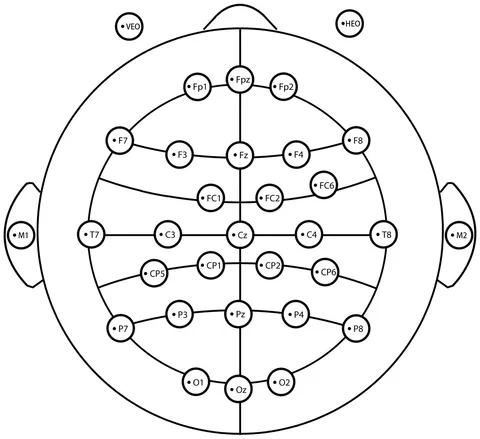 Frontiers | The implicit preference evaluation for the