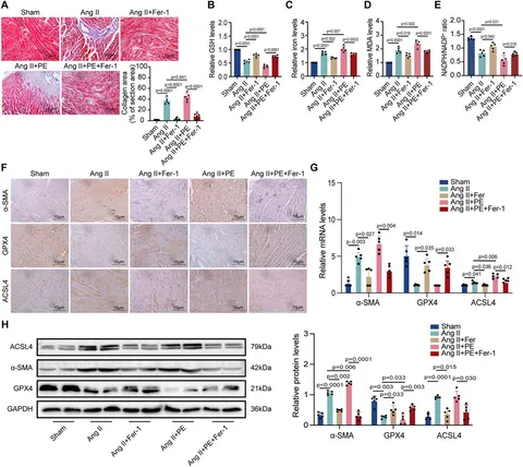 ナショナル　オルガン Electroacupuncture Alleviates Neuroinflammation by