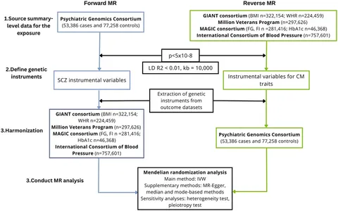 Frontiers | Schizophrenia and cardiometabolic abnormalities