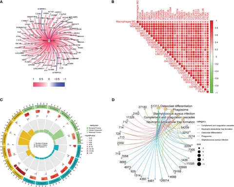 forum シグネイチャーモデル Hypothermia Advocates Functional Mitochondria and Alleviates