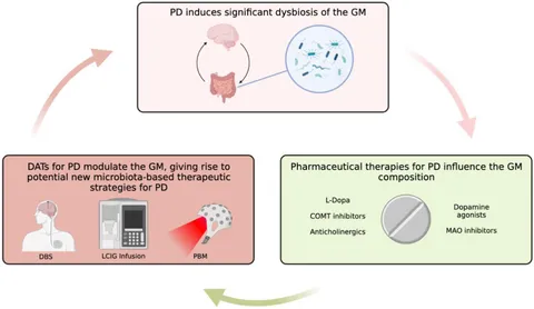 Frontiers | Therapies for Parkinson's disease and the gut