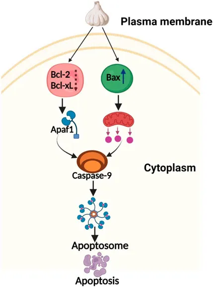 田中 Effects of Polyphenols from Oat and Oat Bran on Anti