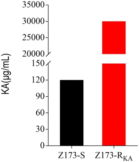 最新発見 Alanine-mediated | Frontiers P the enhances boosting cycle 全巻セット