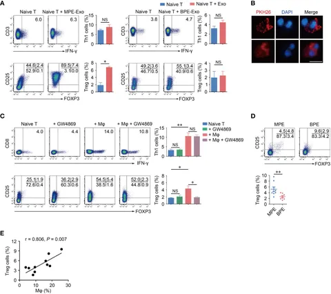 ロッキー Frontiers | Macrophage-derived exosome promotes regulatory T