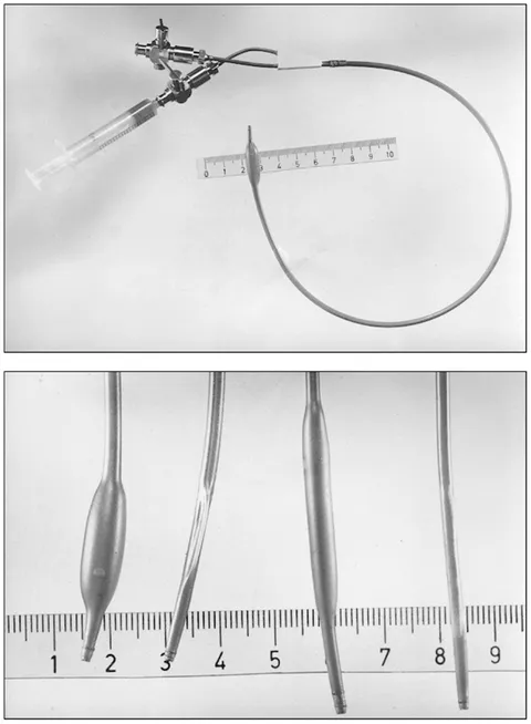 fcvm-01-00015-g010.jpg
