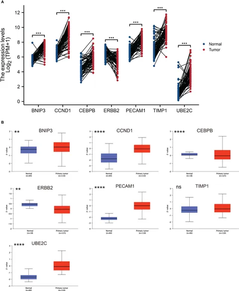 Frontiers | Establishment and validation of a novel anoikis