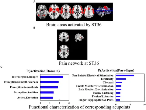 冬ギフト セ Frontiers of studies imaging resonance magnetic Functional | 